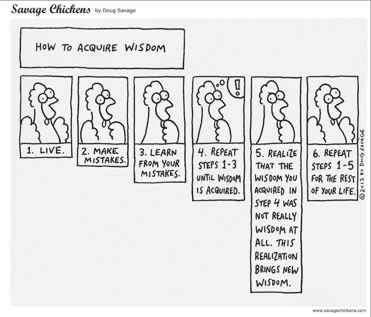 Savage Chickens comic: How to Acquire Wisdom - live, make mistakes, learn from your mistakes, and repeat.